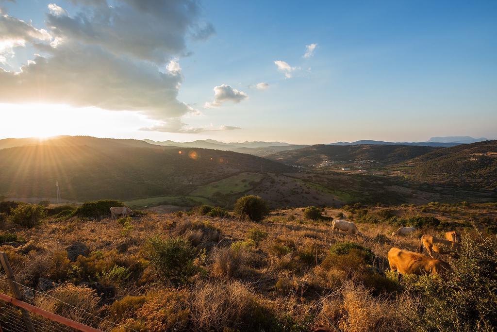 Agriturismo Irghitula Posada  Eksteriør billede